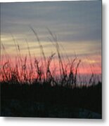 Hilton Head Grass At Sunrise Metal Print