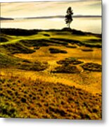 Hole #15 - The Lone Fir At Chambers Bay Metal Print