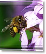 Honey Bee Metal Print