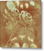 Honey Rose I Metal Print