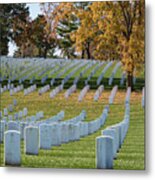 Honoring  Americans Metal Print