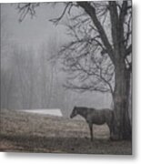 Horse And Tree Metal Print