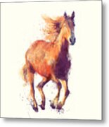 Horse // Boundless Metal Print