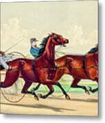 Horse Carriage Race Metal Print