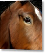 Horse Portrait Close Up Metal Print