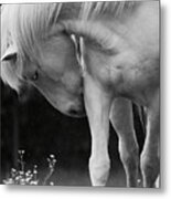 Horse With Flowers Metal Print