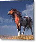 Horse With War Paint Metal Print