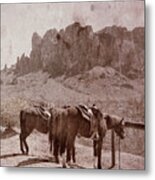 Horses By Superstition Mountains Metal Print