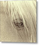 Horse's Eye Portrait Beige Metal Print
