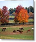 Horses Grazing In The Fall Metal Print