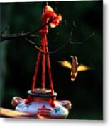 Humming Bird At Sunrise Metal Print