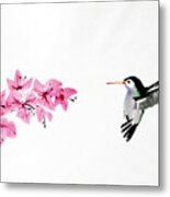 Humming Bird Metal Print