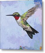 Hummingbird #3 Metal Print
