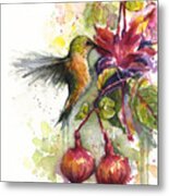 Hummingbird And Fuchsia Metal Print