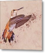 Hummingbird Color Splash I Metal Print