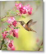 Hummingbird Heaven 2 Metal Print