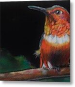 Hummingbird Metal Print