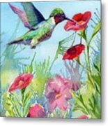 Hummingbird Metal Print