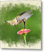 Hummingbird Sun Sweet Blank Note Card Metal Print