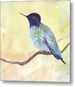 Blue Hummingbird Metal Print