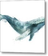 Humpback Whale From Whales Chart Metal Print