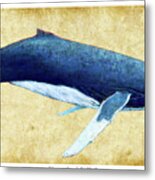 Humpback Whale Painting - Framed Metal Print