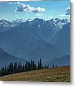 Hurricane Ridge Metal Print