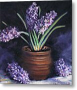 Hyacinths In A Pot Metal Print
