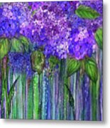 Hydrangea Bloomies 1 - Purple Metal Print