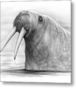 I Am The Walrus Metal Print