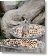 I Can Fly Short Distances Metal Print