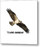 I Love Ospreys 2016-1 Metal Print