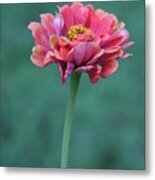 I Must Have Flowers... Metal Print