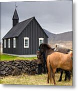 Icelandic Horses And Budir Church Iceland Metal Print