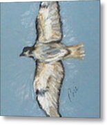 In Flight Metal Print