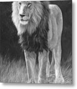 In His Prime - Black And White Metal Print