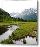 In Road To Denali Metal Print