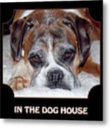 In The Dog House - Black Metal Print