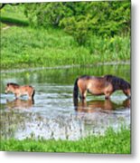 In The Puddle 1 Metal Print