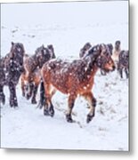 In The Storm 2 Metal Print