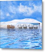 In Their Own Minds--serenity Point Metal Print