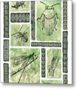 Insects Of Hawaii I Metal Print