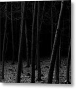 Silent Woods Metal Print