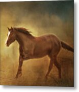 Into The Light Horse Digital Painterly Metal Print