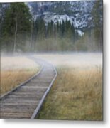 Into The Mist Metal Print