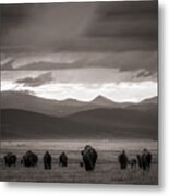 Into The Sunset - Bw Metal Print