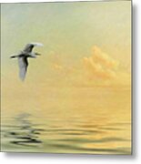 Into The Sunset Metal Print