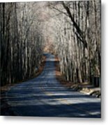 Into The Woods Metal Print