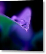 Invisible Edge Metal Print