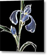 Iris-blue Metal Print